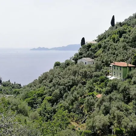 La Casa Verde