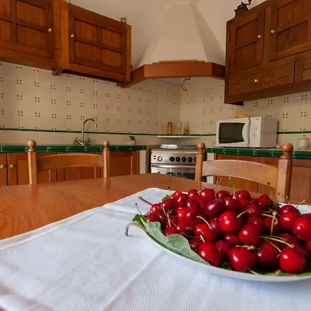 La Casa Verde Apartment Zoagli